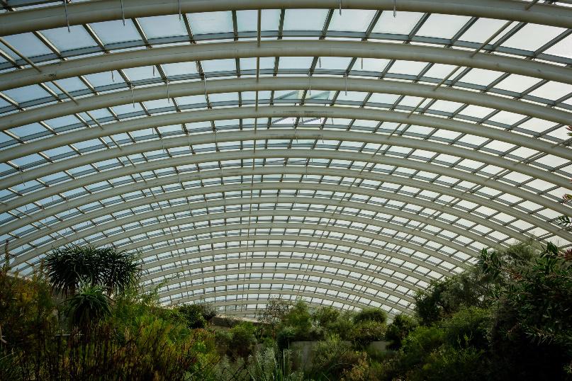 The Biodome