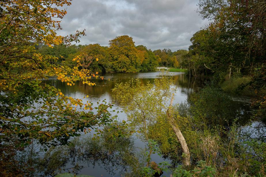 Parkland at the Botanical Garden